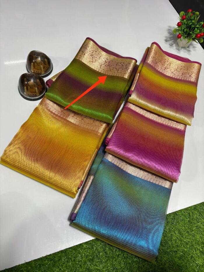 Banarasi Tissue Rainbow Saree (Green) - Image 4